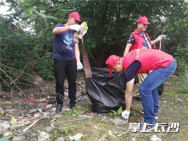 志愿者们在沩水河沿岸清理垃圾,在志愿活动中度过五四青年节。 照片均为长沙晚报通讯员 周坚 摄 志愿者们在沩水河沿岸清理垃圾,在志愿活动中度过五四青年节。 照片均为长沙晚报通讯员 周坚 摄