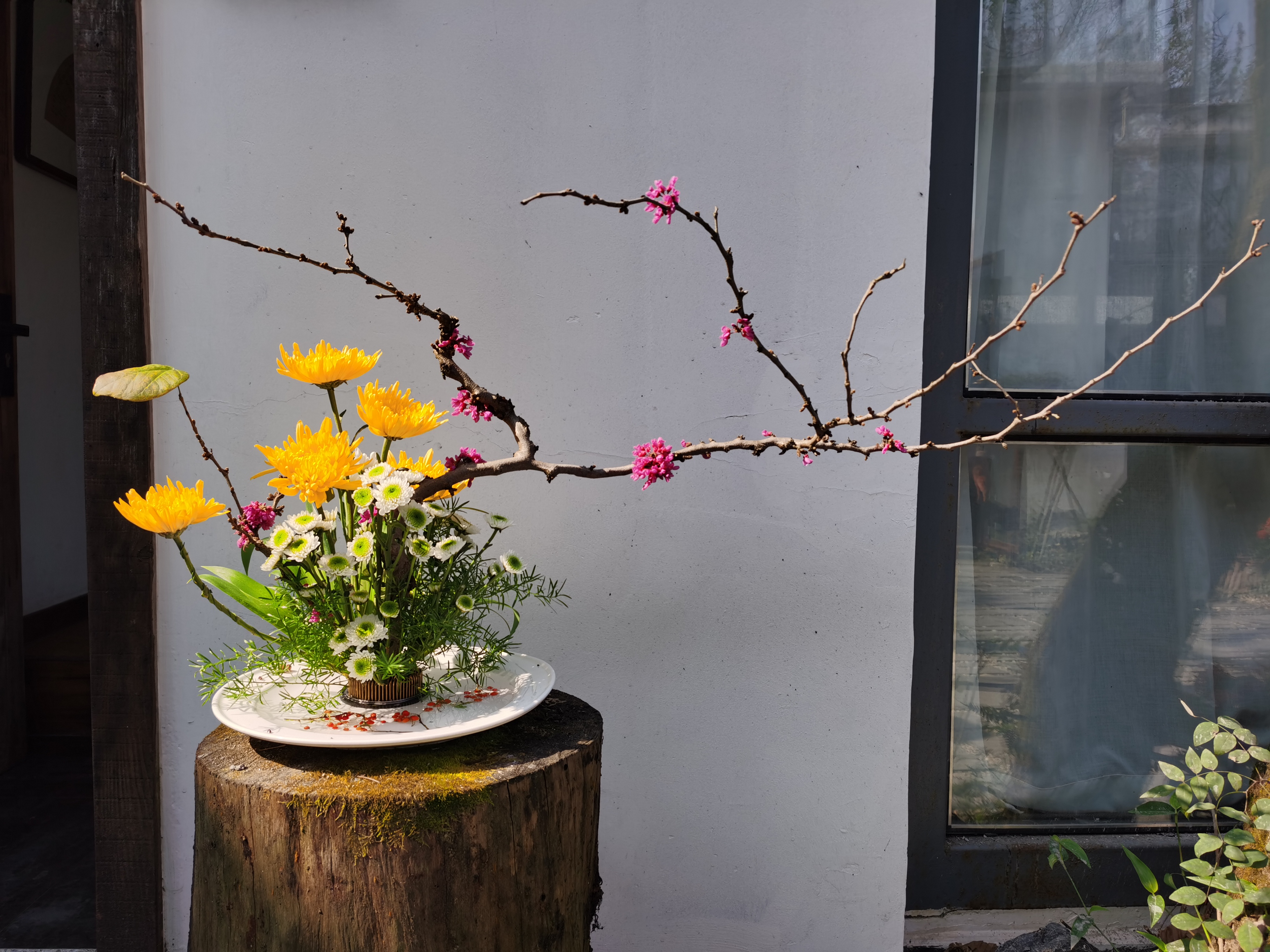 以岳麓山上的花材为创意,王平在1个小时内创作出的《秋意浓》。通讯员 曾蓉 摄 以岳麓山上的花材为创意,王平在1个小时内创作出的《秋意浓》。通讯员 曾蓉 摄