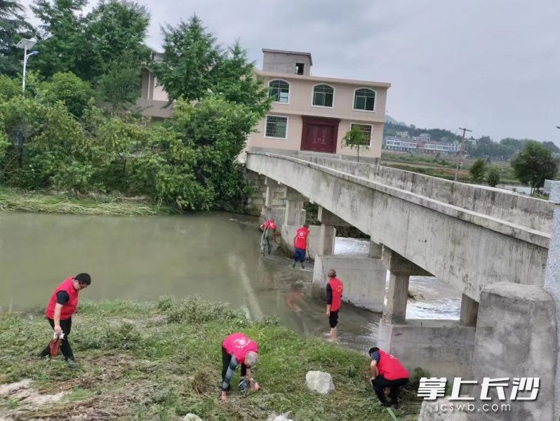 沙田乡的党员志愿者在进行河滩清淤义务劳动。  受访方供图