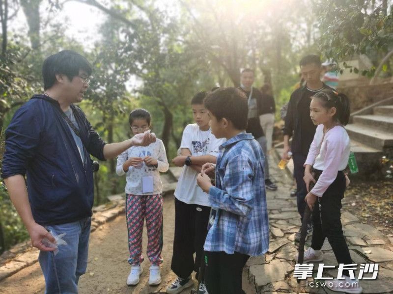 未来,志愿者团队将有计划地在全市范围内开展古树名木观察保护、种子资源收集工作。 未来,志愿者团队将有计划地在全市范围内开展古树名木观察保护、种子资源收集工作。