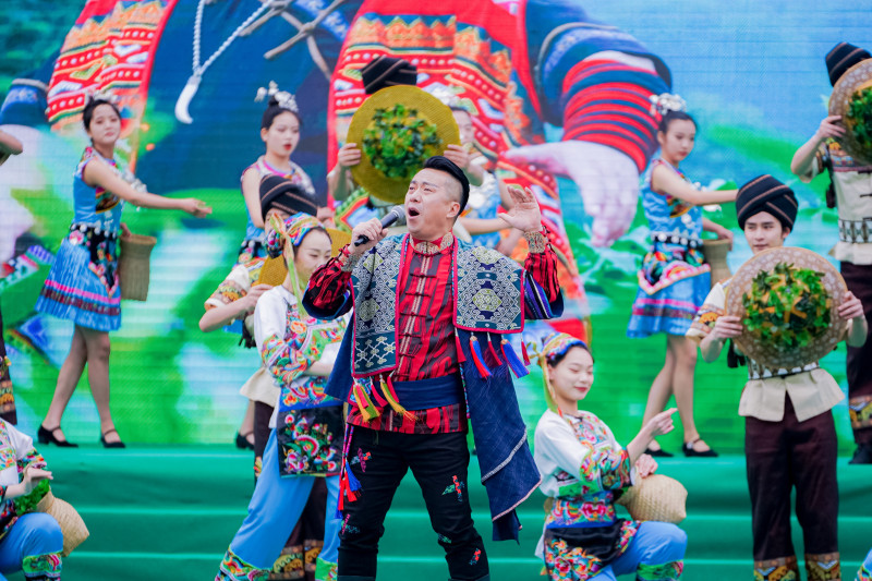 精彩的文艺演出绽放茶乡魅力。 精彩的文艺演出绽放茶乡魅力。