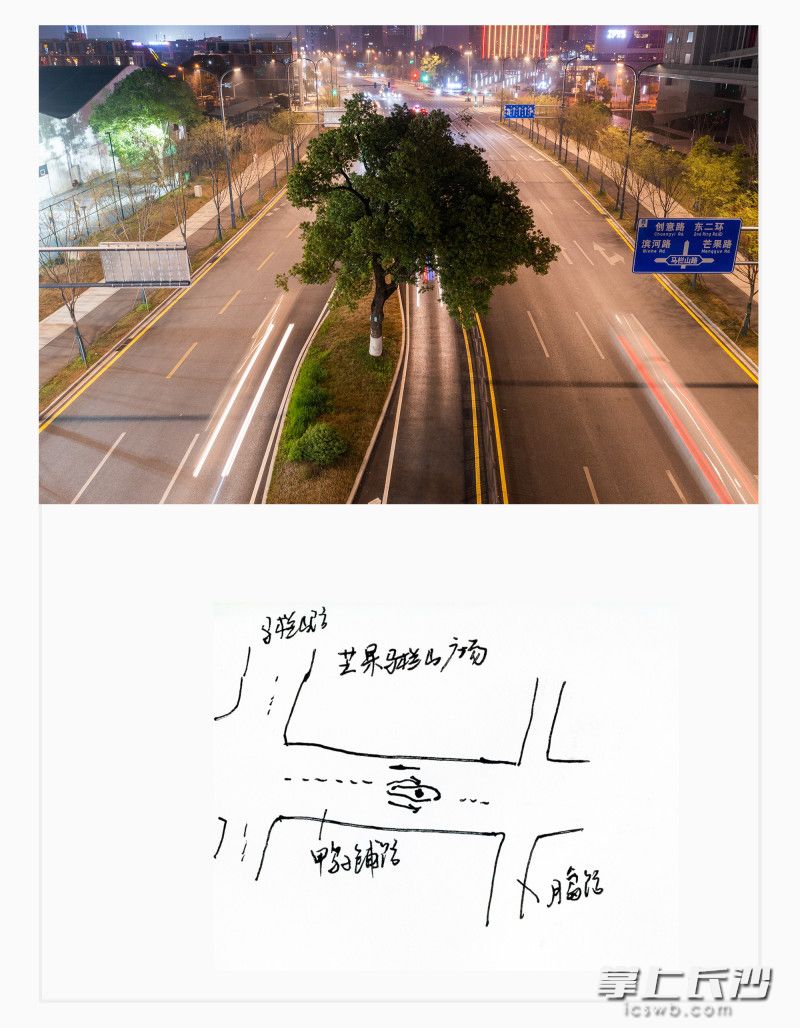 开福区马栏山鸭子铺路,西往东方向,樟树。 开福区马栏山鸭子铺路,西往东方向,樟树。