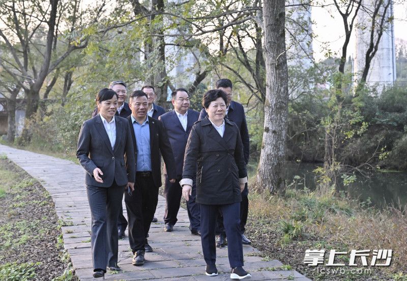吴桂英在官桥镇调研当地开发的农文旅融合项目。