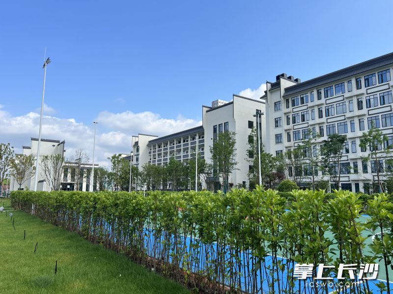 岳麓山实验室浏阳实践基地。 岳麓山实验室浏阳实践基地。