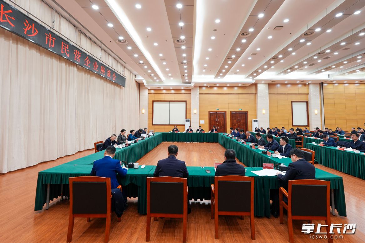 2月26日,长沙市举行民营企业座谈会。长沙晚报全媒体记者 郭雨滴 摄 2月26日,长沙市举行民营企业座谈会。长沙晚报全媒体记者 郭雨滴 摄