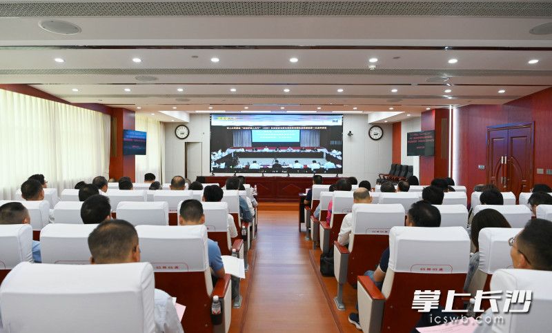 长沙分会场现场。 长沙晚报全媒体记者 黄丽心 摄 长沙分会场现场。 长沙晚报全媒体记者 黄丽心 摄