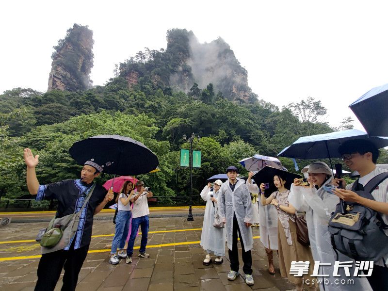 重庆网络达人、旅游博主探秘张家界。 均为长沙晚报通讯员邓道理摄 重庆网络达人、旅游博主探秘张家界。 均为长沙晚报通讯员邓道理摄