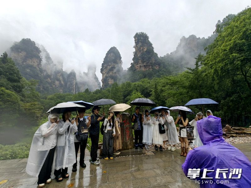 重庆的网络达人、旅游博主走进张家界国家森林公园打卡。 重庆的网络达人、旅游博主走进张家界国家森林公园打卡。