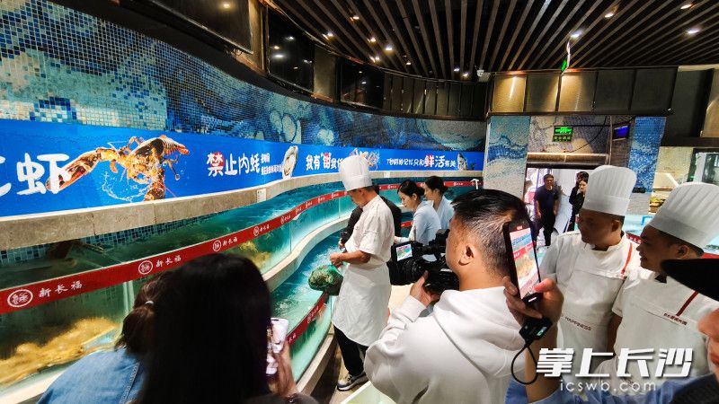 9月26日,第一批阳澄湖“头担蟹”第一时间空运抵达长沙。 9月26日,第一批阳澄湖“头担蟹”第一时间空运抵达长沙。