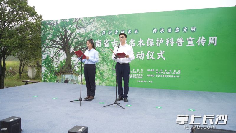 2025年湖南省古树名木保护科普宣传周在望城启动。 主办方供图 2025年湖南省古树名木保护科普宣传周在望城启动。 主办方供图