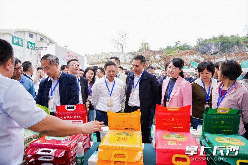 稻米产销对接活动现场,娄底多家农业企业与长沙采购商、电商平台签下合作协议,为“娄米入长出湘”注入新动能。 均为长沙晚报通讯员黄文海摄 稻米产销对接活动现场,娄底多家农业企业与长沙采购商、电商平台签下合作协议,为“娄米入长出湘”注入新动能。 均为长沙晚报通讯员黄文海摄