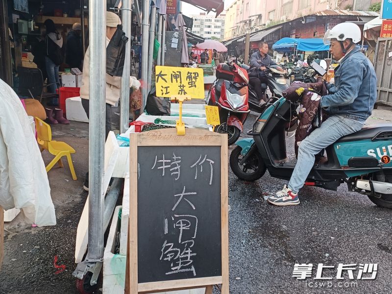 “特价大闸蟹”的标牌在各大摊位前格外醒目。 均为长沙晚报实习生黄春华摄 “特价大闸蟹”的标牌在各大摊位前格外醒目。 均为长沙晚报实习生黄春华摄