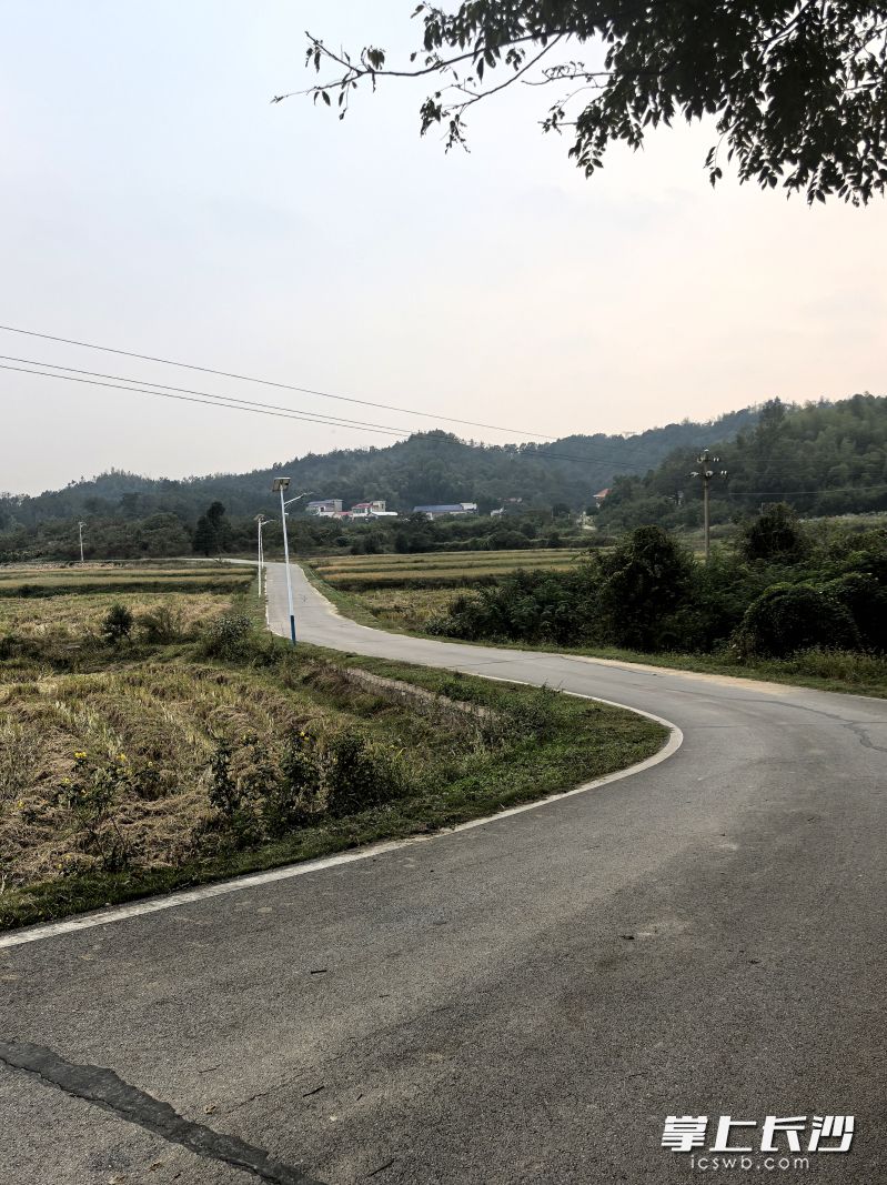 洋西塘村32公里长的主干道的蜕变,让5000多名村民受益。 均为受访者供图 洋西塘村32公里长的主干道的蜕变,让5000多名村民受益。 均为受访者供图