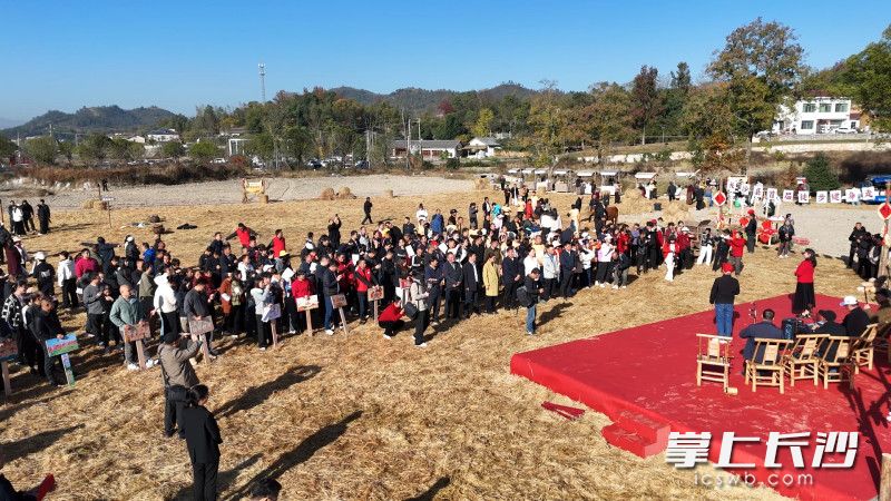 青山铺镇首届丰收活动，吸引了众多村民群众参与，现场氛围热烈。 均为青山铺镇供图