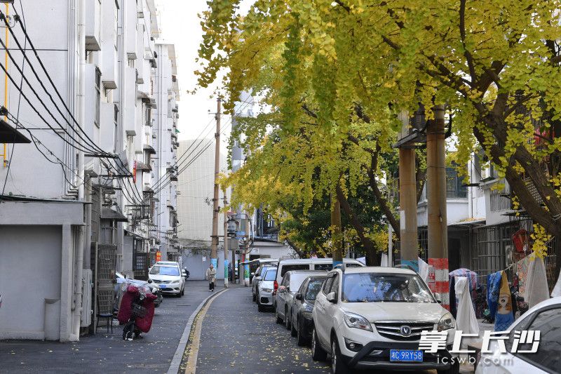 蒸菜街小区专业物业团队入驻半年，小区公共收益已基本覆盖环卫保洁等管护支出。