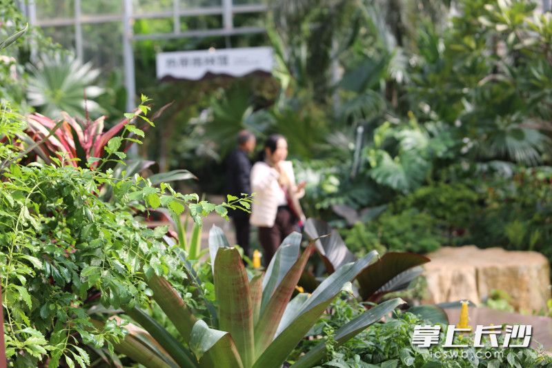 四大主题场馆各具特色。 四大主题场馆各具特色。