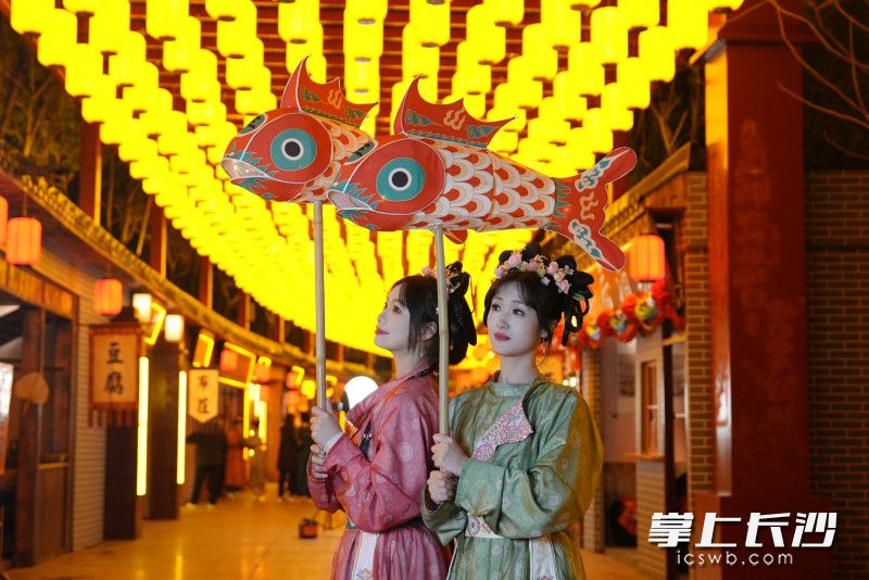 鱼灯点亮。 鱼灯点亮。