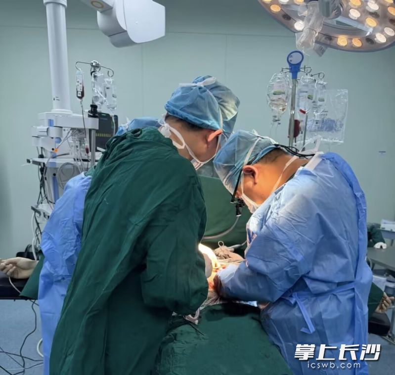 长沙市第四医院多学科团队迎难而上,快速制定个性化手术方案,为患者实施紧急剖腹探查术。 长沙晚报通讯员 黄滔滔 供图 长沙市第四医院多学科团队迎难而上,快速制定个性化手术方案,为患者实施紧急剖腹探查术。 长沙晚报通讯员 黄滔滔 供图