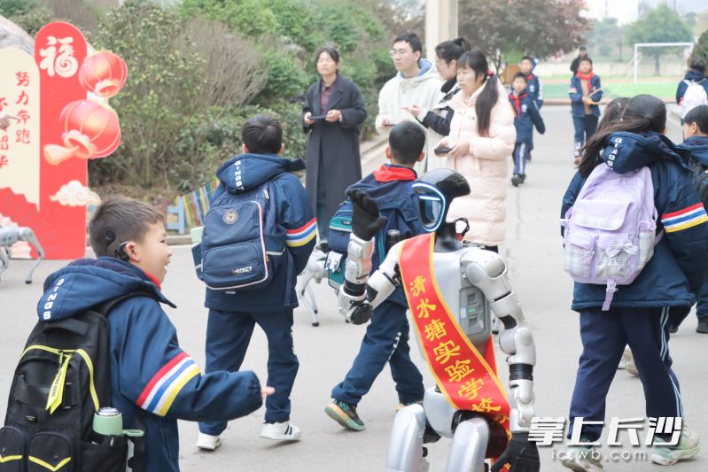 春晚同款机器人身披授带在校门口迎接学生。均为长沙晚报通讯员 罗沛东 摄 春晚同款机器人身披授带在校门口迎接学生。均为长沙晚报通讯员 罗沛东 摄