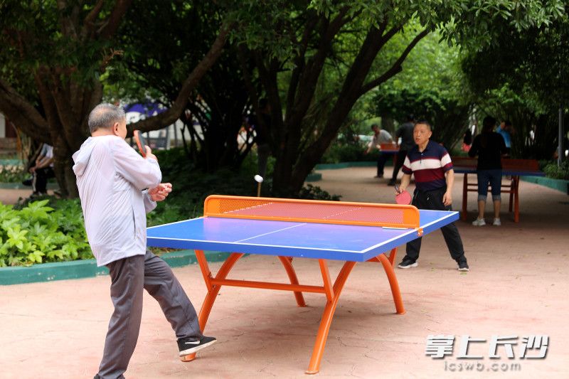 市民在烈士公园健身广场打乒乓球。 市民在烈士公园健身广场打乒乓球。