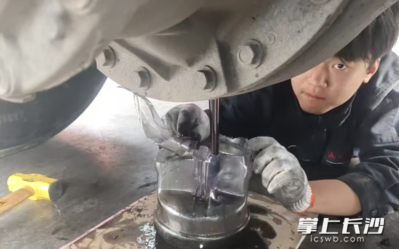 郑梦杰在认真工作。 郑梦杰在认真工作。
