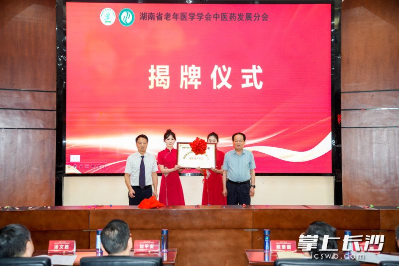活动现场。 均为长沙晚报通讯员陈琳供图