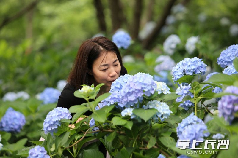 在馥郁花香中,邂逅专属初夏的美好。 在馥郁花香中,邂逅专属初夏的美好。