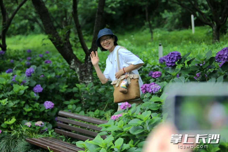 从广东中山来长沙旅游的罗蝉全程兴致满满,在花丛中摆着各种姿势拍照。 从广东中山来长沙旅游的罗蝉全程兴致满满,在花丛中摆着各种姿势拍照。