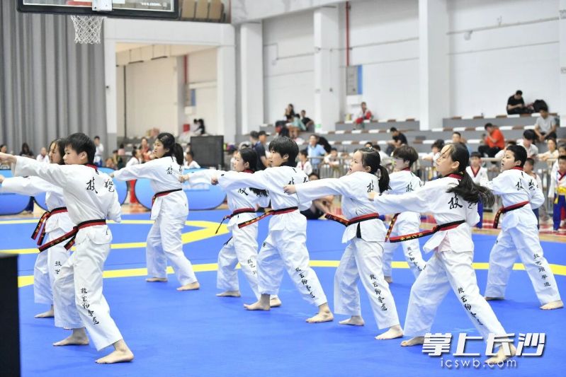 比赛共吸引28支队伍、650名青少年运动员同台竞技。 比赛共吸引28支队伍、650名青少年运动员同台竞技。