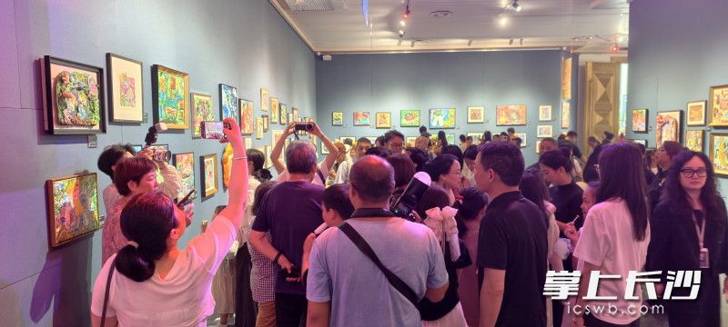 展厅人流如织。 均为长沙晚报全媒体记者肖舞摄 展厅人流如织。 均为长沙晚报全媒体记者肖舞摄