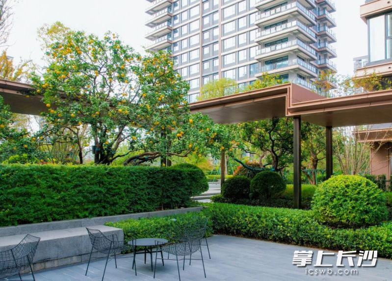 越来越多的楼盘,通过交付实景来吸引客户。图为长沙洋湖片区某楼盘实景。 越来越多的楼盘,通过交付实景来吸引客户。图为长沙洋湖片区某楼盘实景。
