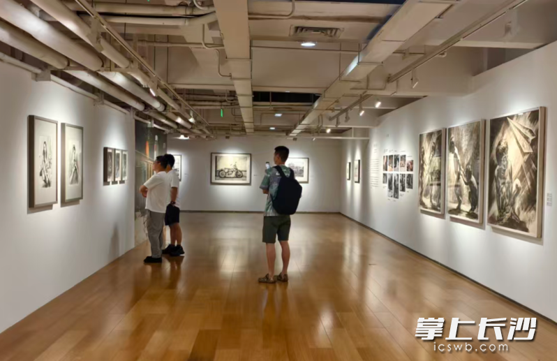 市民观展。均为长沙晚报全媒体记者 宁莎鸥 摄 市民观展。均为长沙晚报全媒体记者 宁莎鸥 摄