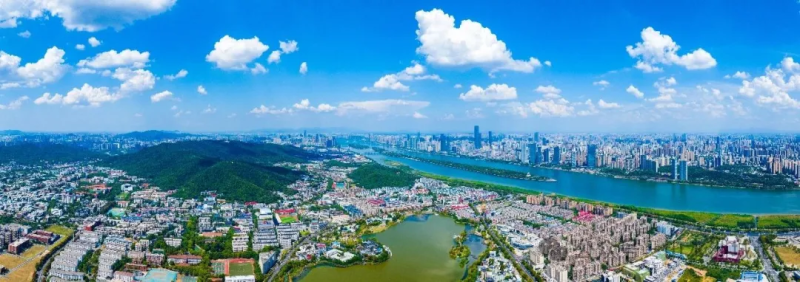 山水洲城，藏着晚报人心底的至深眷恋。