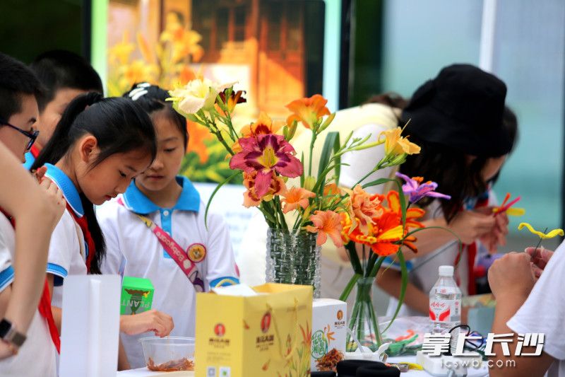 沉浸式探秘自然,省植物园夏日植物故事会等你来。均为长沙晚报全媒体记者 贺文兵 摄 沉浸式探秘自然,省植物园夏日植物故事会等你来。均为长沙晚报全媒体记者 贺文兵 摄