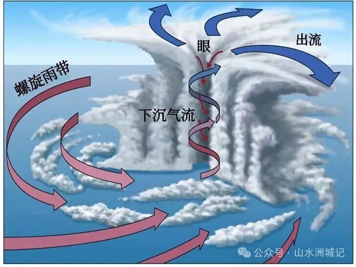 台风结构示意图。 台风结构示意图。