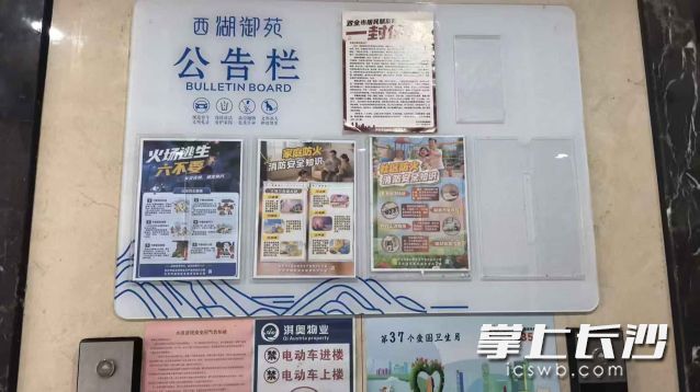 通过张贴海报等形式进行宣传。 通过张贴海报等形式进行宣传。