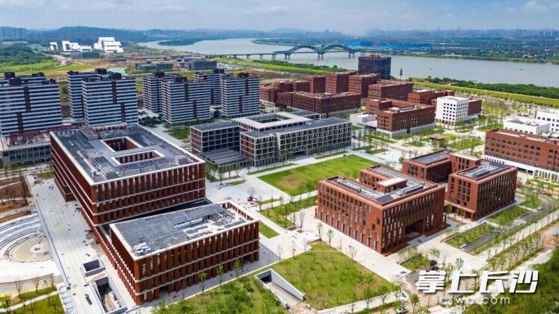 近日，位于湘江科学城核心区的湖南大学科创港校区二、三标段全面完成建设任务并建成投用。湘江早报全媒体记者 范龙贵 摄