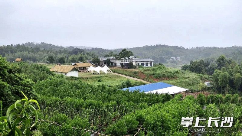 邵铁城的种养基地达200多亩。 邵铁城的种养基地达200多亩。