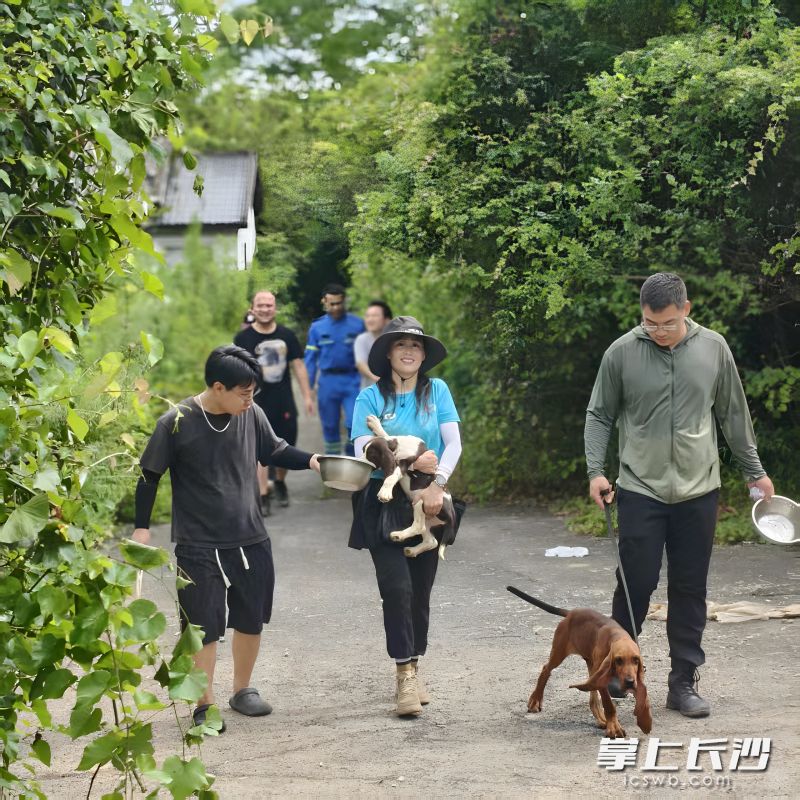 今年1月以来,长沙市岳麓区蓝天应急救援队加紧打造由4人4犬组成的搜救小队。均为 通讯员 贺兰 供图 今年1月以来,长沙市岳麓区蓝天应急救援队加紧打造由4人4犬组成的搜救小队。均为 通讯员 贺兰 供图
