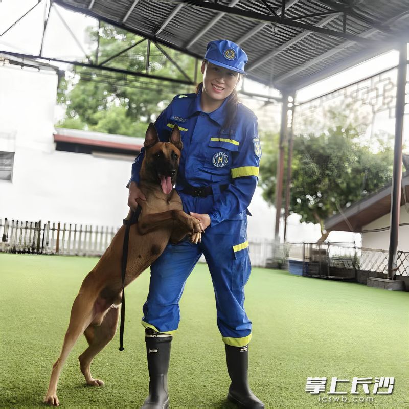贺兰作为养犬的新手小白,在第一次与小库克见面时,被一眼选中。 贺兰作为养犬的新手小白,在第一次与小库克见面时,被一眼选中。