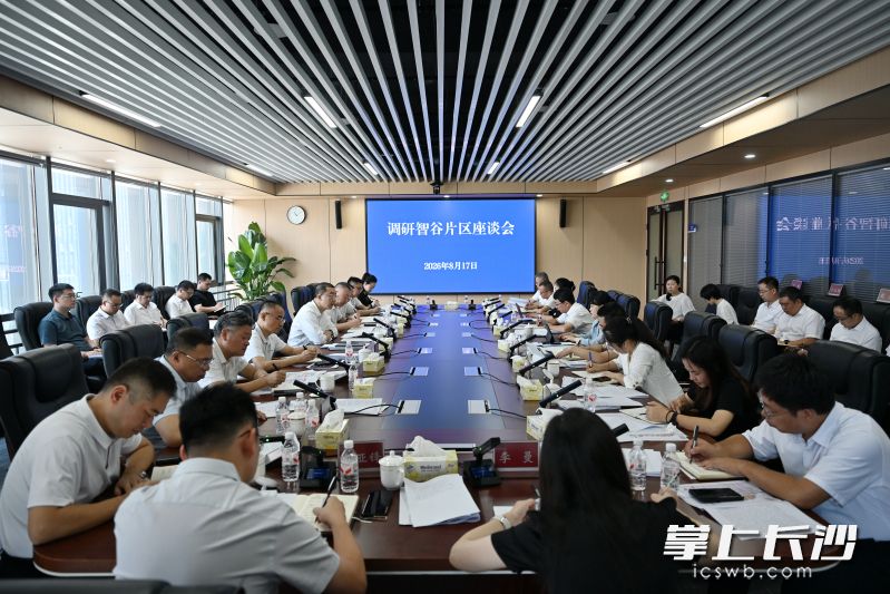 召开调研座谈会听取智谷片区建设发展情况。 召开调研座谈会听取智谷片区建设发展情况。