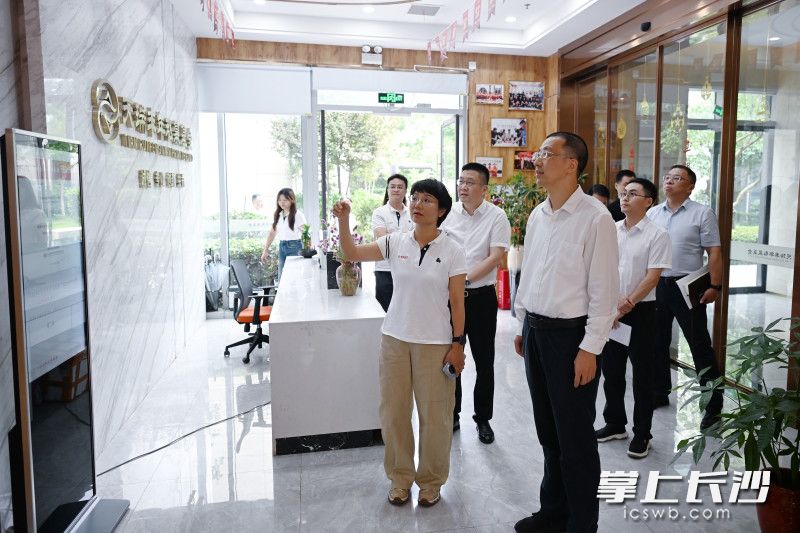 在湖南天瑞丰年私募股权基金管理有限公司了解企业发展、基金运营等情况。均为 湘江早报全媒体记者 张圣贺 摄 在湖南天瑞丰年私募股权基金管理有限公司了解企业发展、基金运营等情况。均为 湘江早报全媒体记者 张圣贺 摄