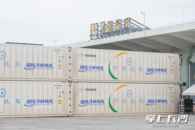 “国铁冷鲜快线”琼果跨海班列首发。均为通讯员 供图 “国铁冷鲜快线”琼果跨海班列首发。均为通讯员 供图