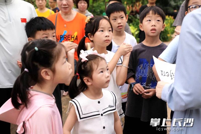 孩子们沉浸式亲近自然,认真聆听讲解。 孩子们沉浸式亲近自然,认真聆听讲解。