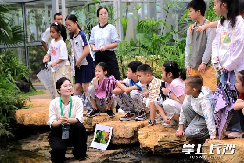 让植物知识走出书页、走进自然。 让植物知识走出书页、走进自然。
