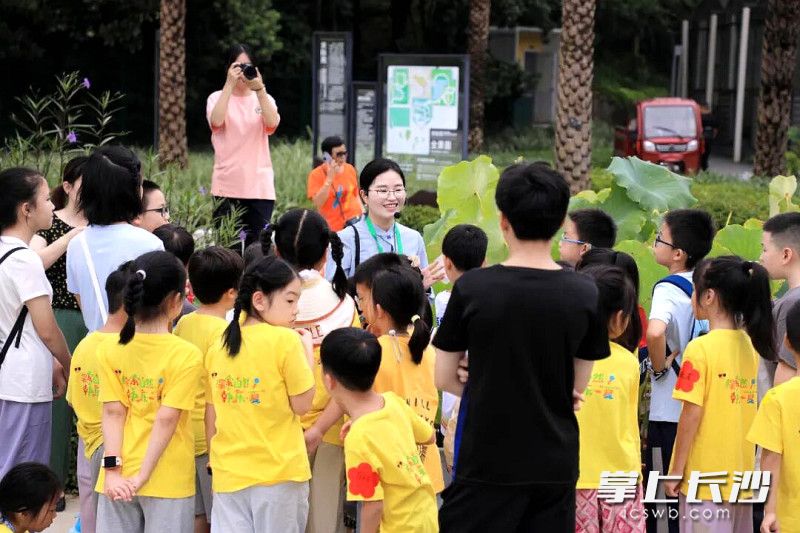 植物探秘让孩子们读懂自然密码。 均为长沙晚报通讯员彭炜摄 植物探秘让孩子们读懂自然密码。 均为长沙晚报通讯员彭炜摄