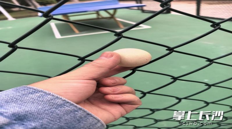 改造前的乒乓球场防护网。 改造前的乒乓球场防护网。
