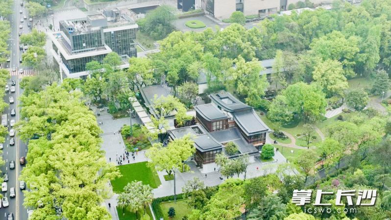 馆园融合,文脉与绿意“无界”共生。 长沙晚报通讯员 刘润泽 摄 馆园融合,文脉与绿意“无界”共生。 长沙晚报通讯员 刘润泽 摄