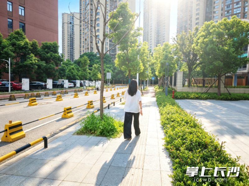 三条道路改造一新,赢得周边居民点赞。均为全媒体记者 周游 通讯员 钟鸣真 摄影报道 三条道路改造一新,赢得周边居民点赞。均为全媒体记者 周游 通讯员 钟鸣真 摄影报道