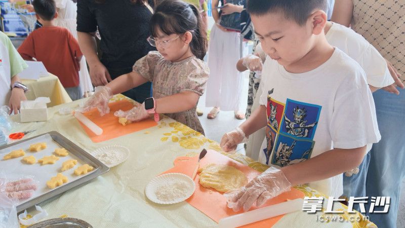 麓山国际松湖小学的萌新们体验多元课程。 麓山国际松湖小学的萌新们体验多元课程。